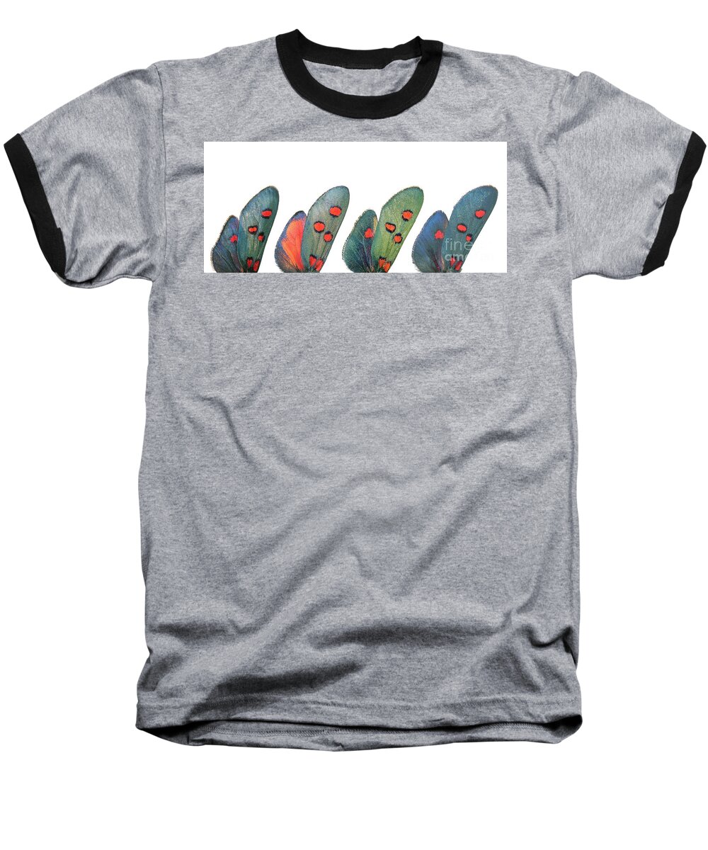 Specimen Baseball T-Shirt featuring the photograph Burnet moth wings by Martinez Clavel