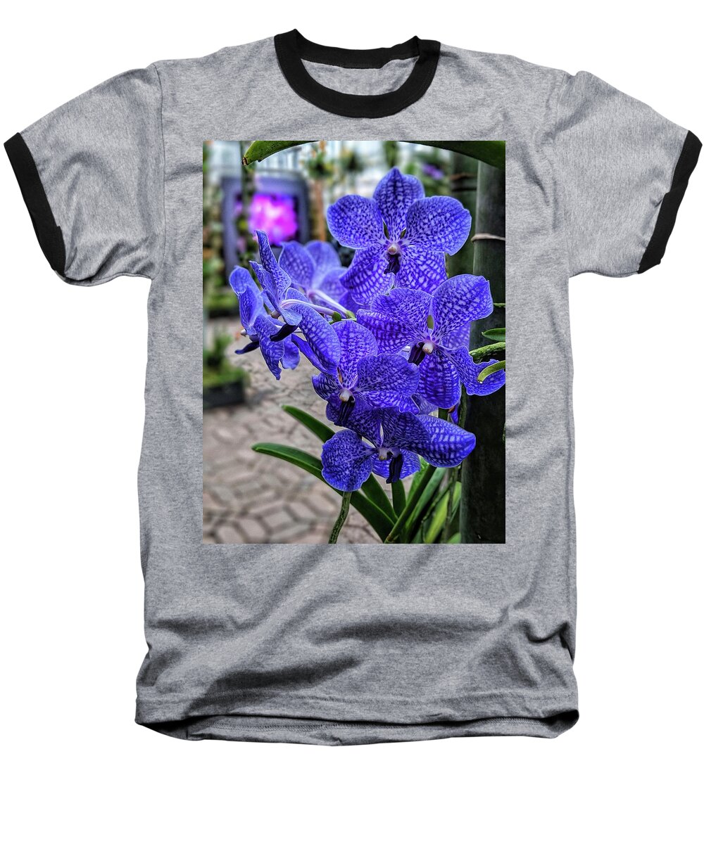 Flower Baseball T-Shirt featuring the photograph Deep Purple Orchid #1 by Portia Olaughlin