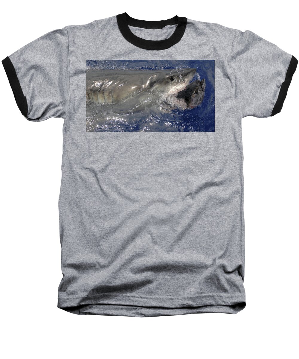 Great White Shark Baseball T-Shirt featuring the photograph Great White Shark #1 by David Shuler