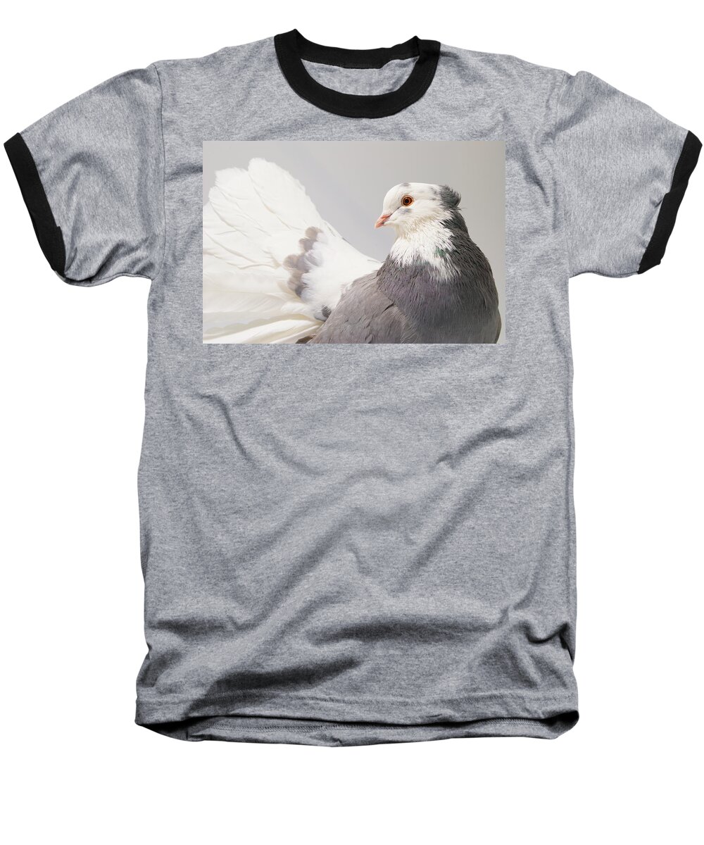 Pigeon Baseball T-Shirt featuring the photograph Indian Fantail Pigeon #2 by Nathan Abbott