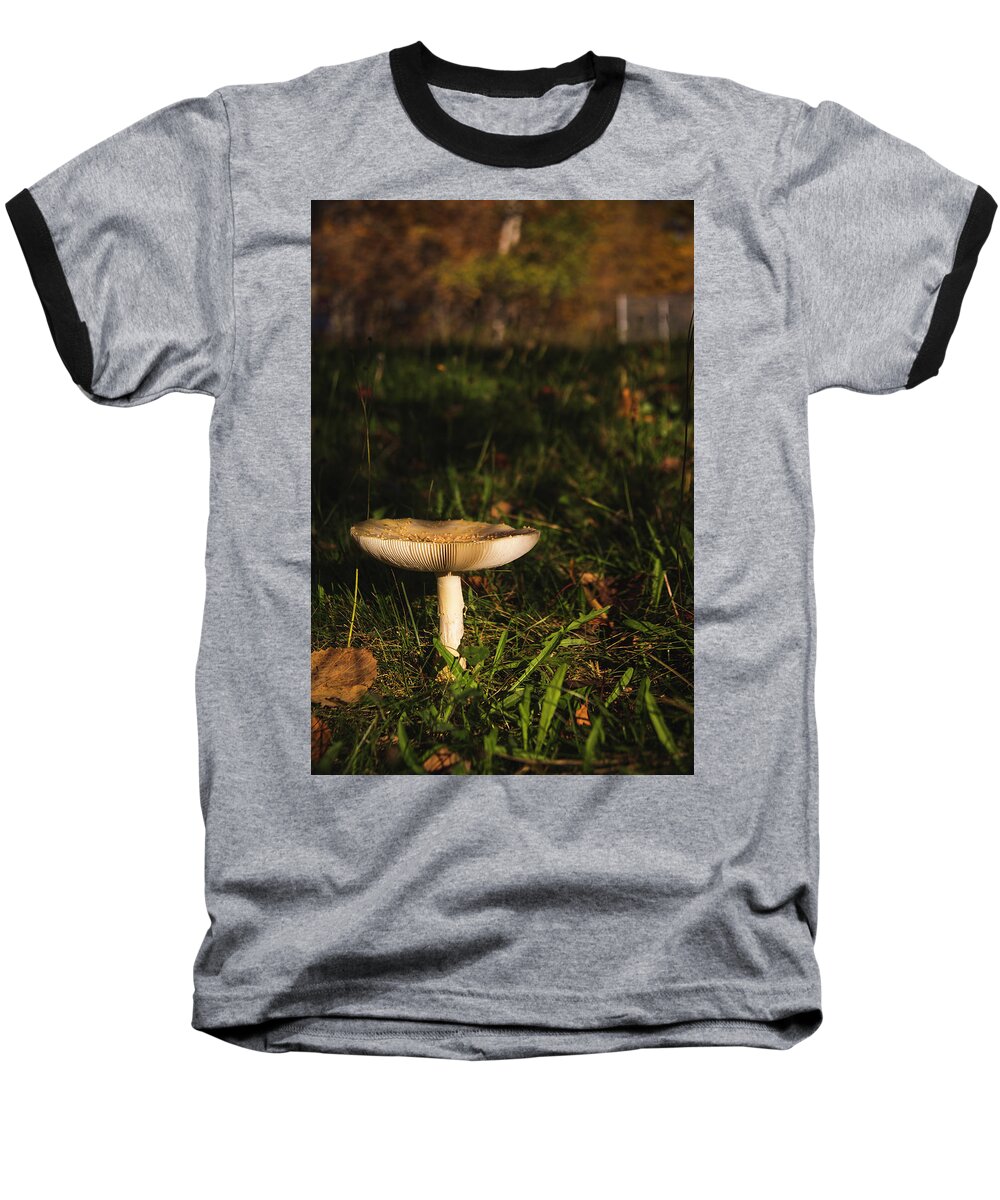 Mushroom Baseball T-Shirt featuring the photograph Mushroom #1 by Cindi Ressler