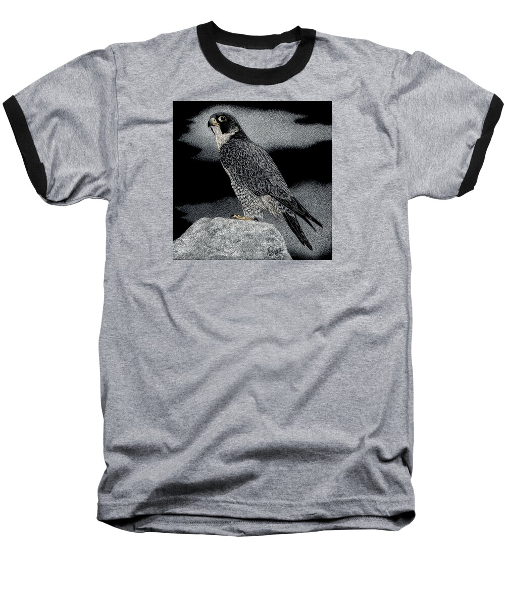 Falcon Baseball T-Shirt featuring the drawing Peregrine Falcon #1 by Ann Ranlett