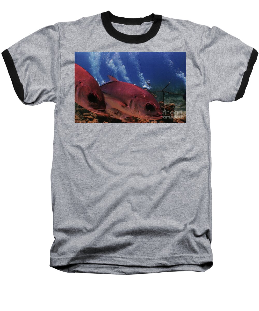 Swimming With The Fish In St. Thomas Baseball T-Shirt featuring the photograph Swimming With The Fish In St. Thomas by Barbra Telfer