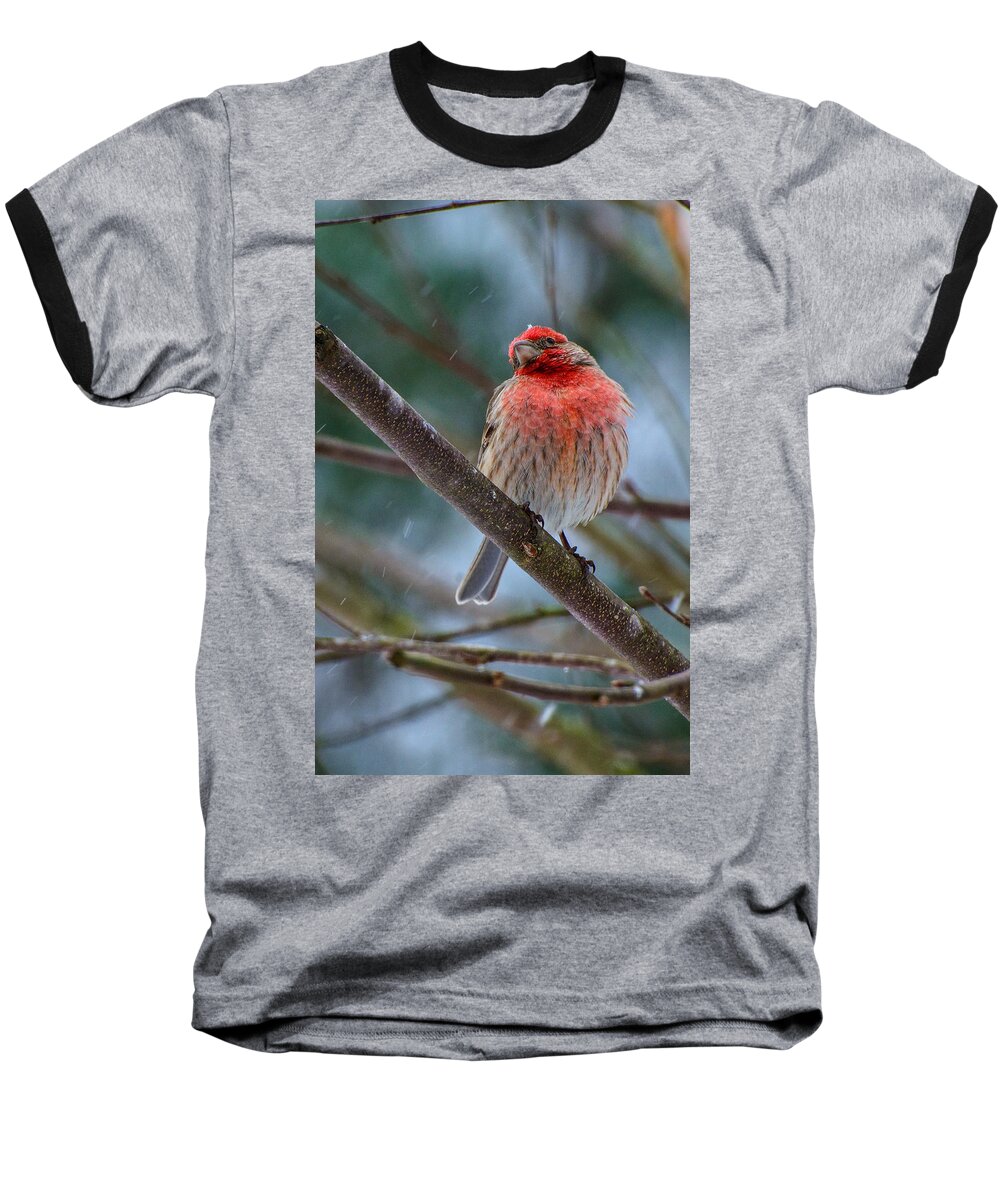 Birds Baseball T-Shirt featuring the photograph The Snowflake #1 by John Harding