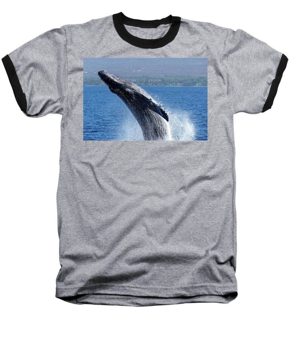 Whale Baseball T-Shirt featuring the photograph Humpback Whale #3 by Joe Palermo