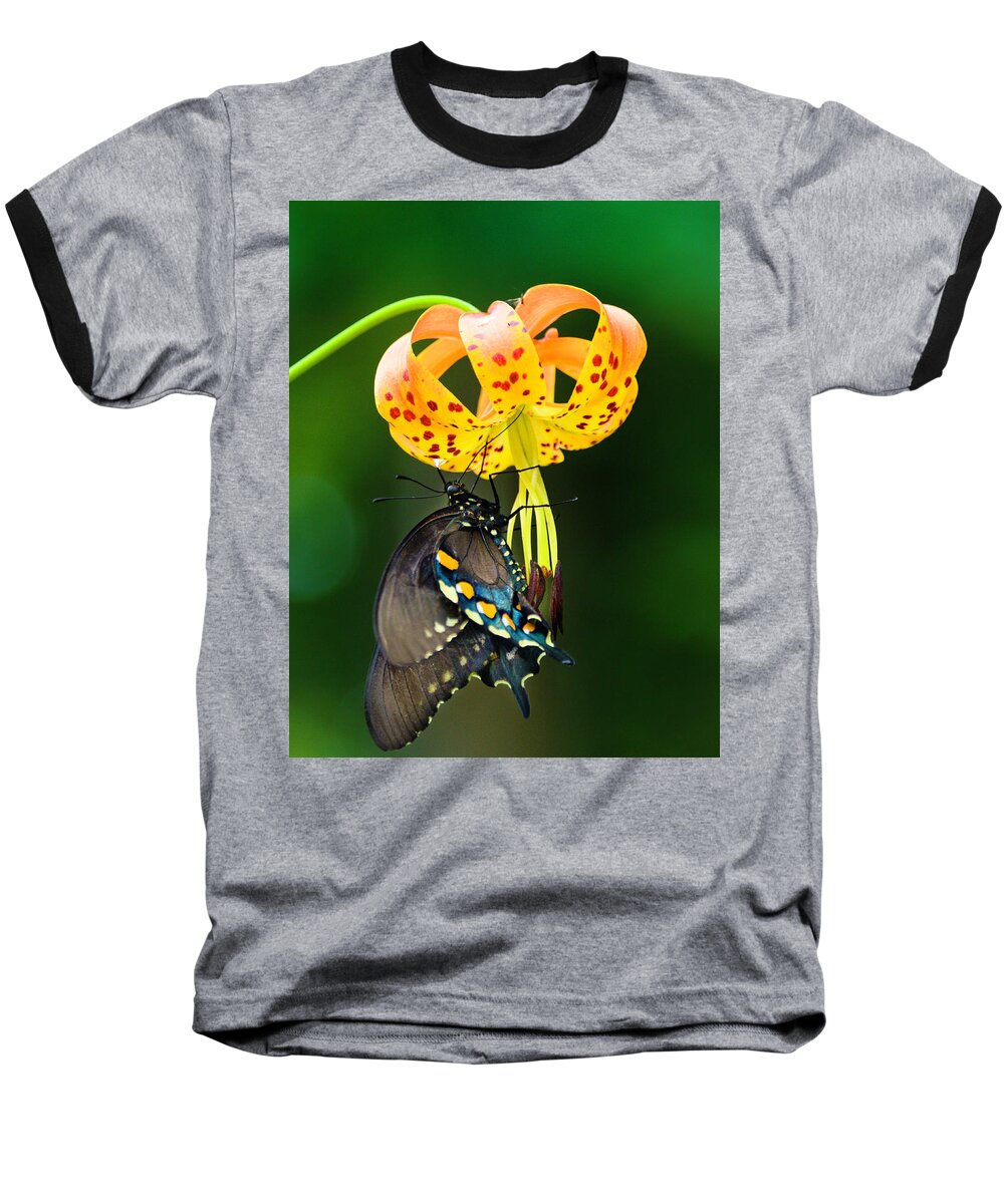 Africa Baseball T-Shirt featuring the photograph Swallowtail On Turks Cap #2 by Donald Brown