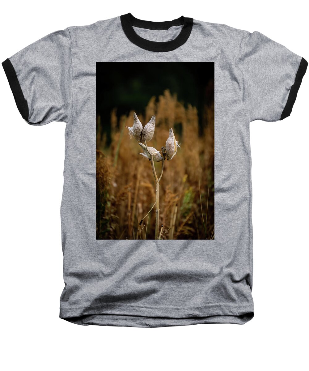 Outdoors Baseball T-Shirt featuring the photograph 4 Cocoons by Silvia Marcoschamer