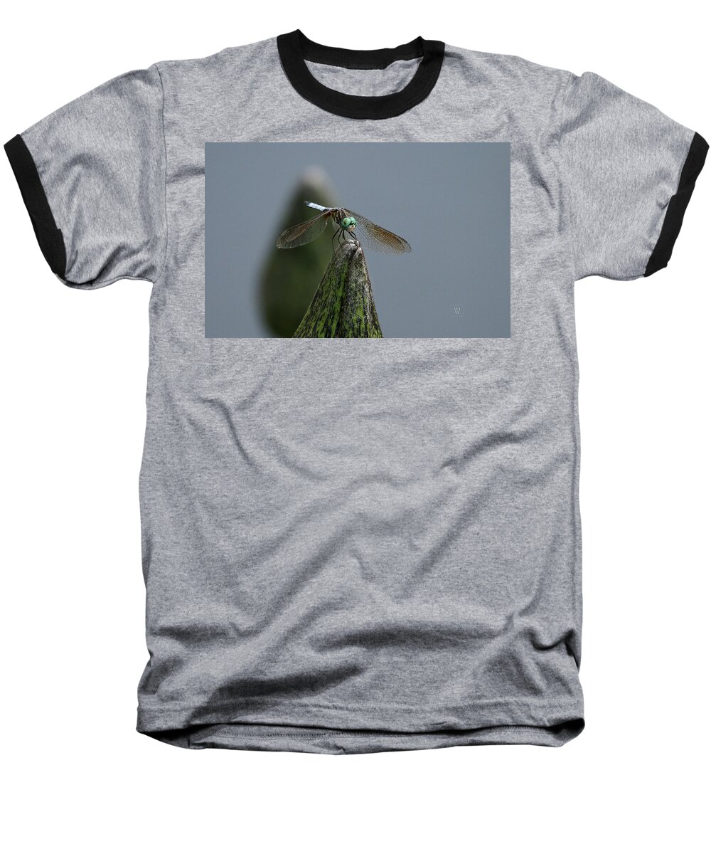 Waterlily Baseball T-Shirt featuring the photograph A Launch Pad by Yvonne Wright