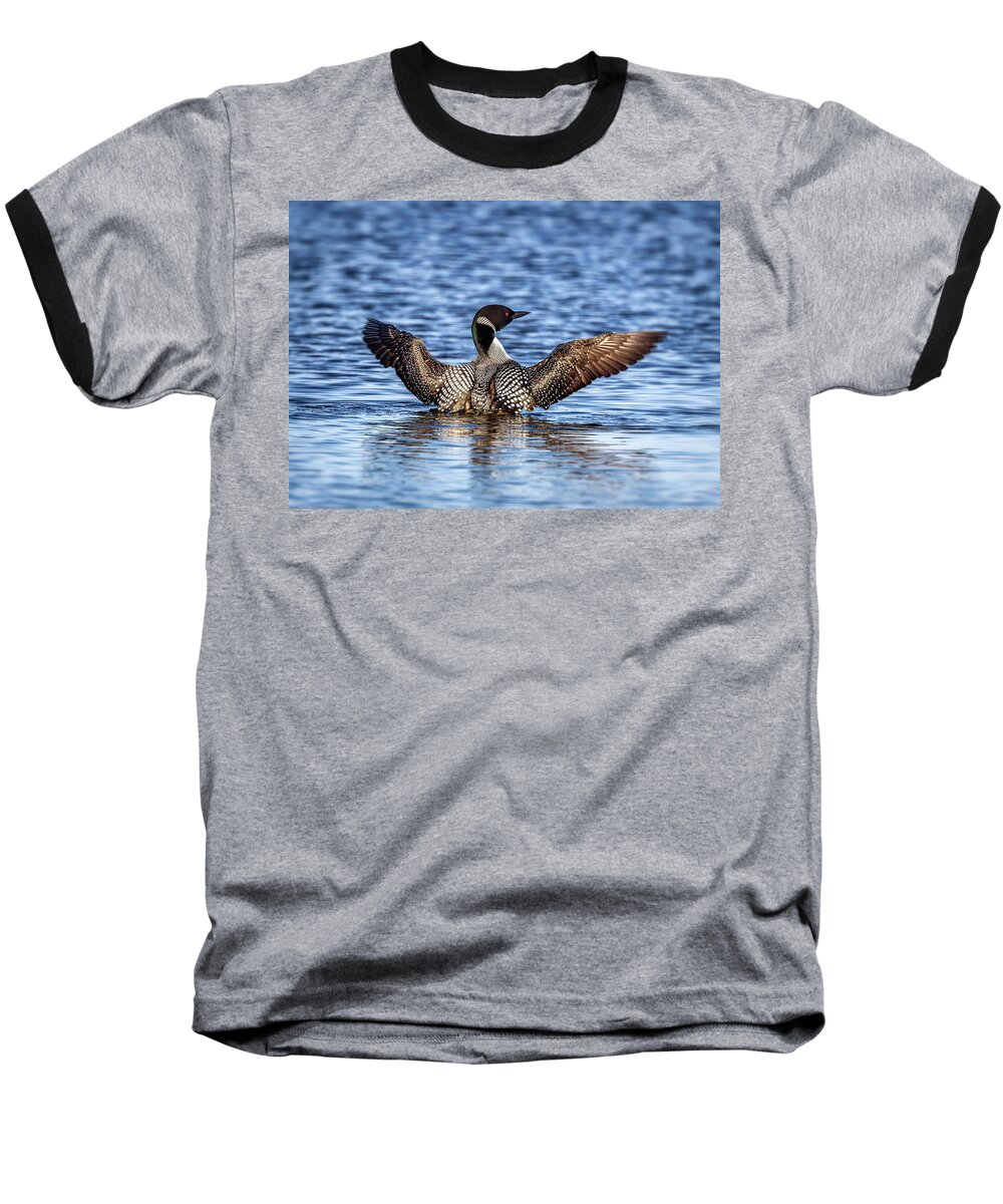 Common Loon Baseball T-Shirt featuring the photograph A primping Loon in mating colors by Al Mueller