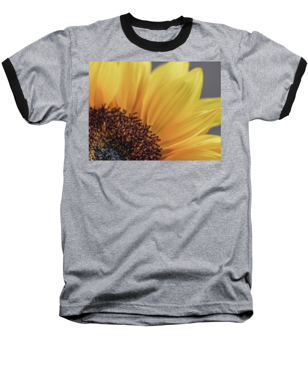 Nature Baseball T-Shirt featuring the photograph A Sip of Sunshine by Teresa Wilson