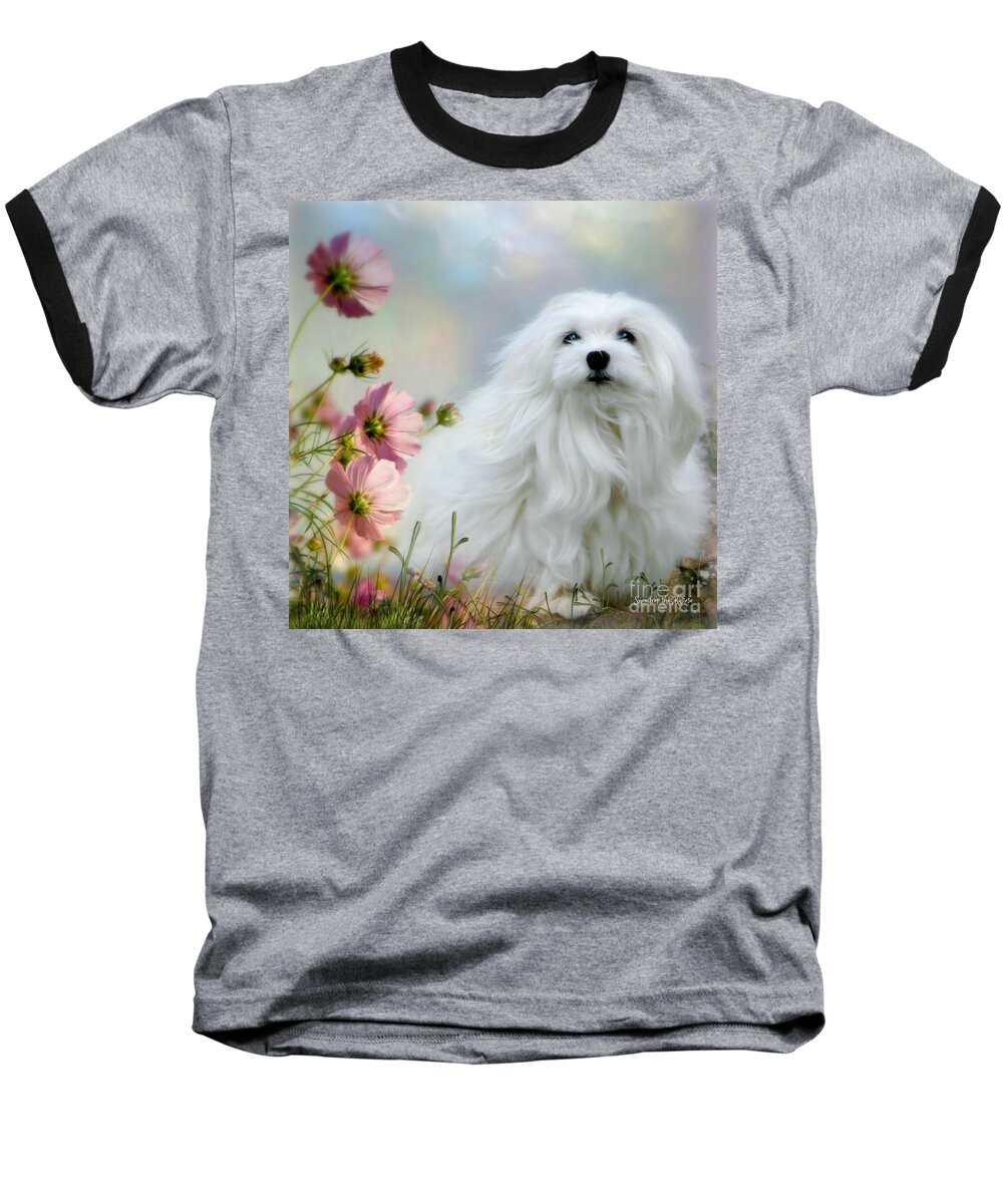 Snowdrop The Maltese Baseball T-Shirt featuring the photograph A Soft Summer Breeze by Morag Bates