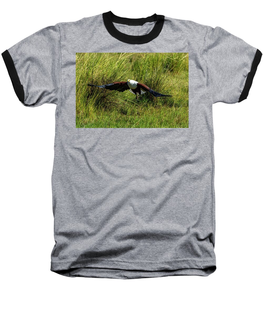Africa Baseball T-Shirt featuring the photograph African Fish Eagle by Douglas Wielfaert