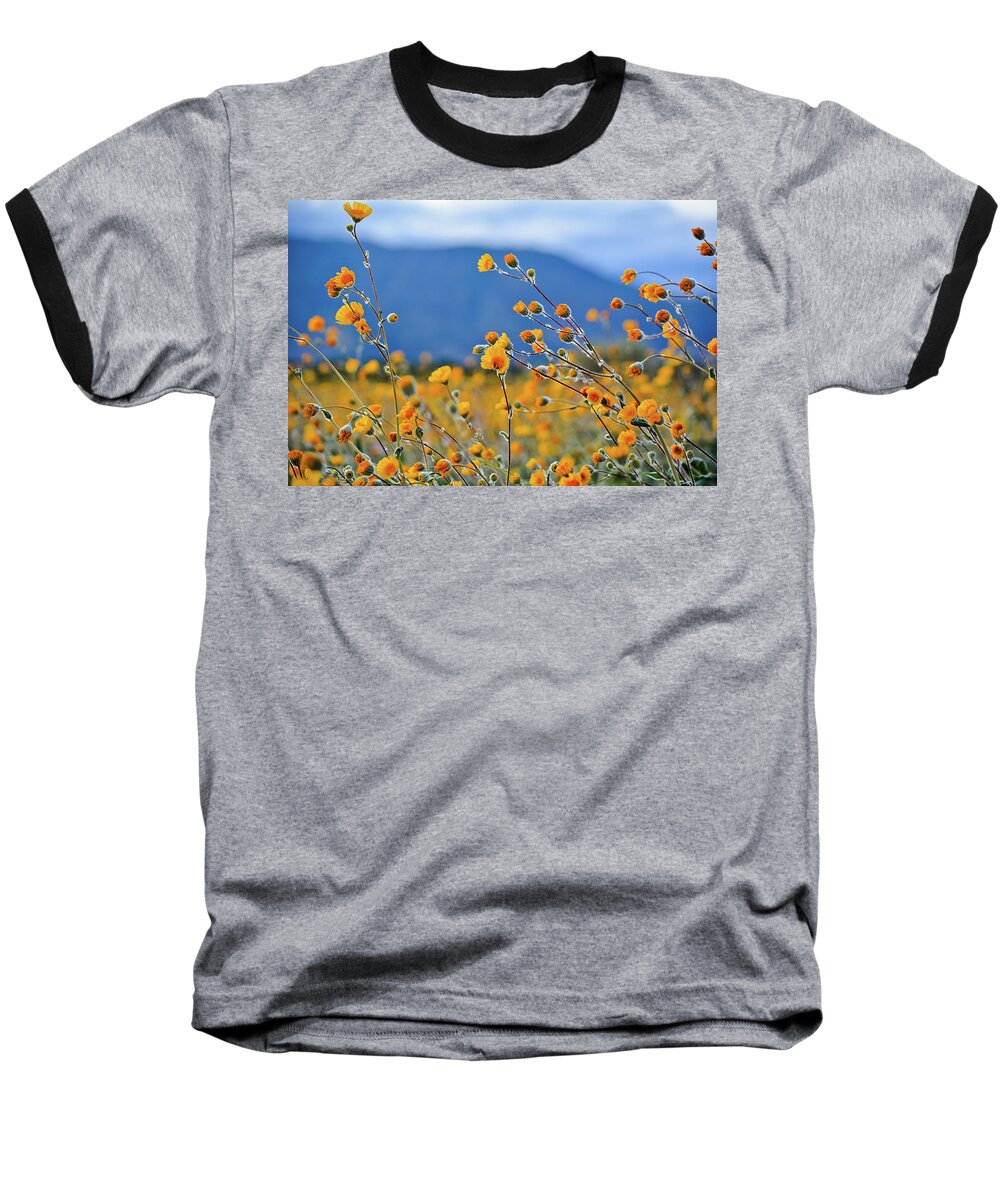 Anza Borrego Desert State Park Baseball T-Shirt featuring the photograph Anza Borrego Wild Desert Sunflowers by Kyle Hanson