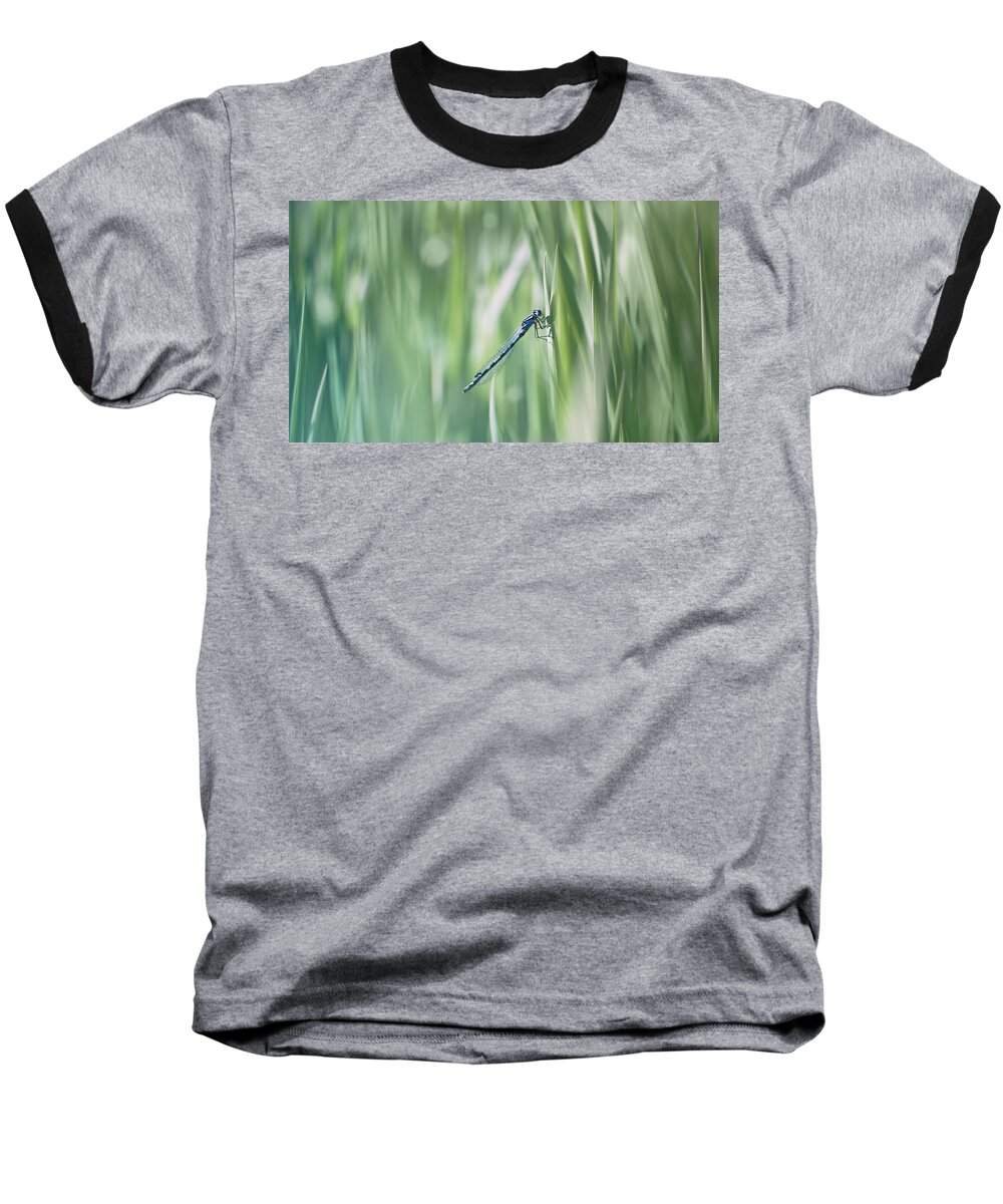 Dragonfly Baseball T-Shirt featuring the photograph Around The Meadow 8 by Jaroslav Buna