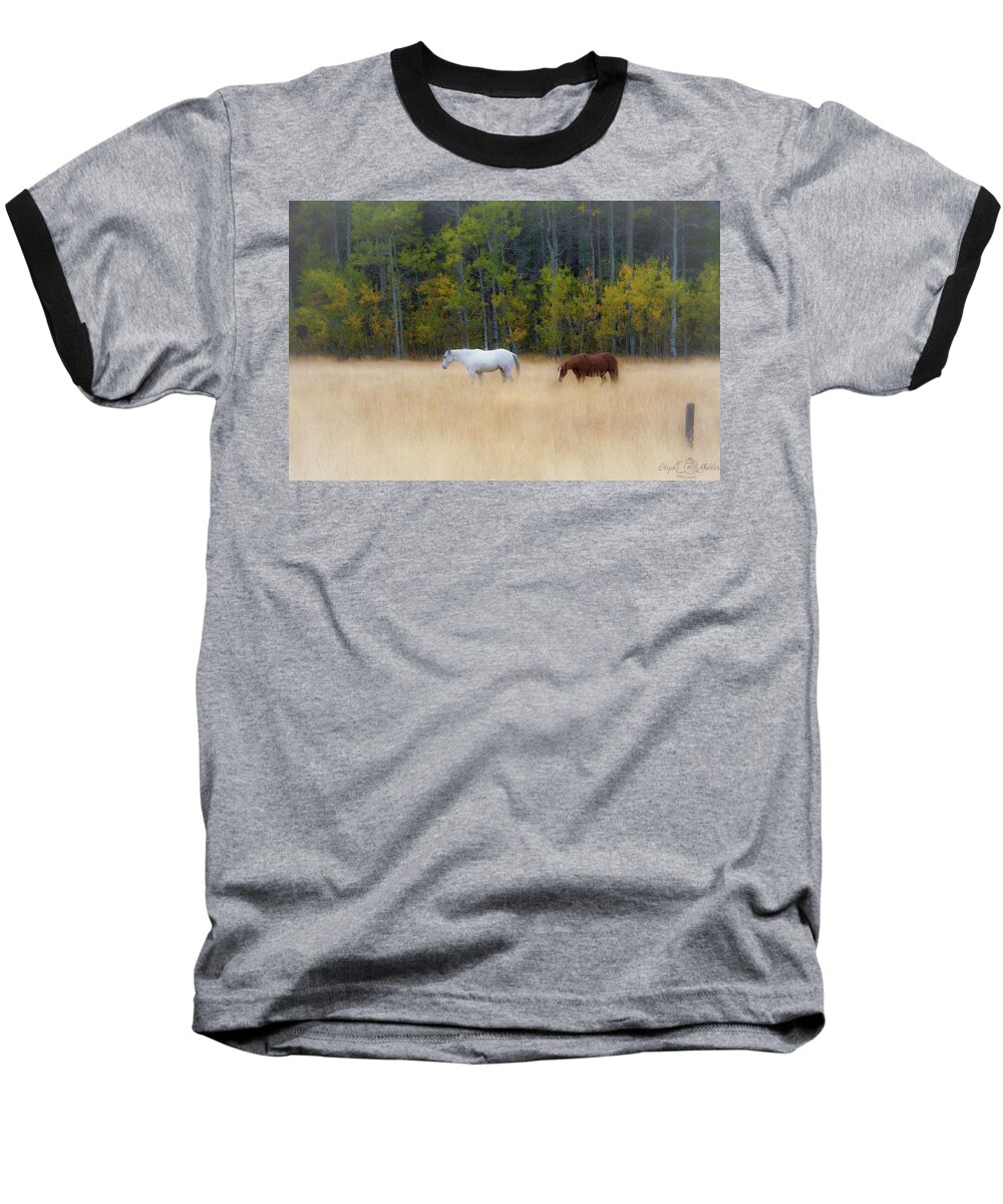 Horse Baseball T-Shirt featuring the photograph Autumn Horse Meadow by Steph Gabler