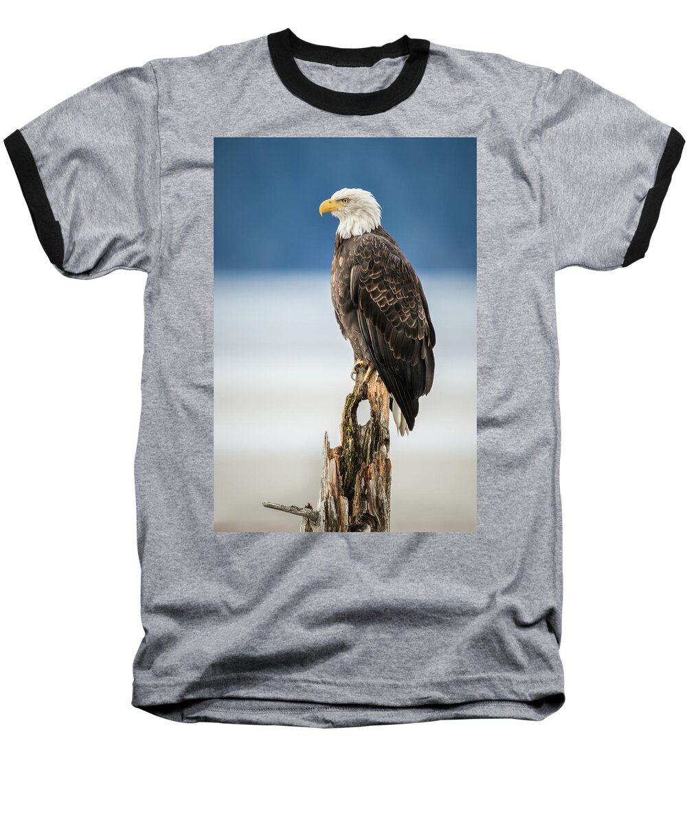 Alaska Baseball T-Shirt featuring the photograph Bald Eagle on Snag by James Capo