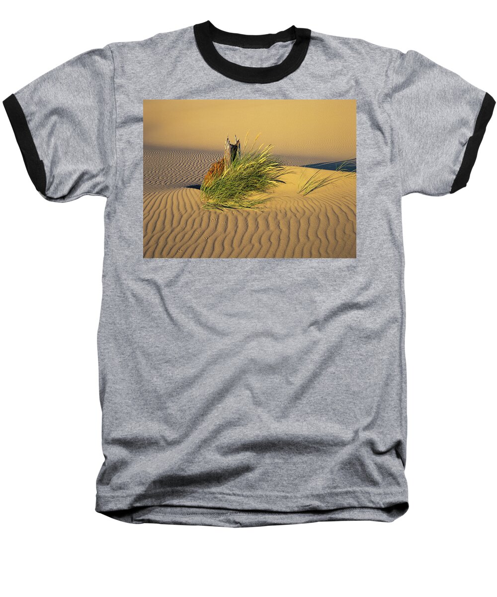 Beach Grass Baseball T-Shirt featuring the photograph Beachgrass and Ripples by Robert Potts