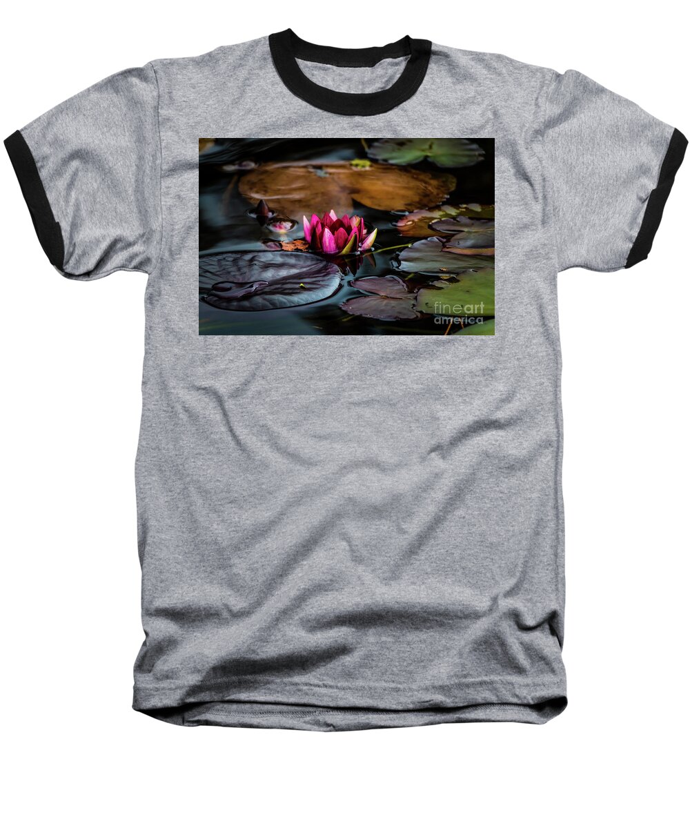 Water Lily Baseball T-Shirt featuring the photograph Beautiful Creation by Elizabeth Dow