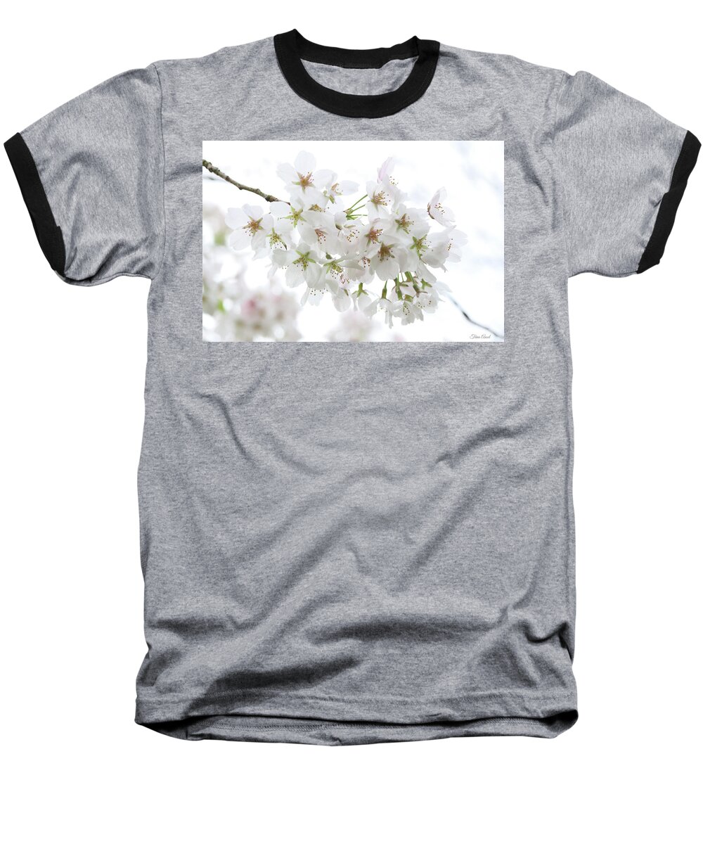 Nature Baseball T-Shirt featuring the photograph Beautiful White Cherry Blossoms by Trina Ansel