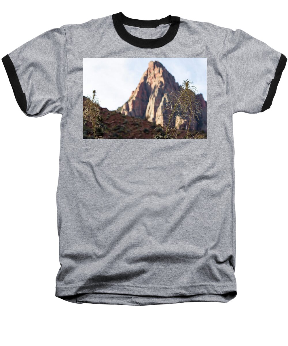 Zion National Park Baseball T-Shirt featuring the photograph Bee-weed and Zion's Watchman by Jonathan Thompson