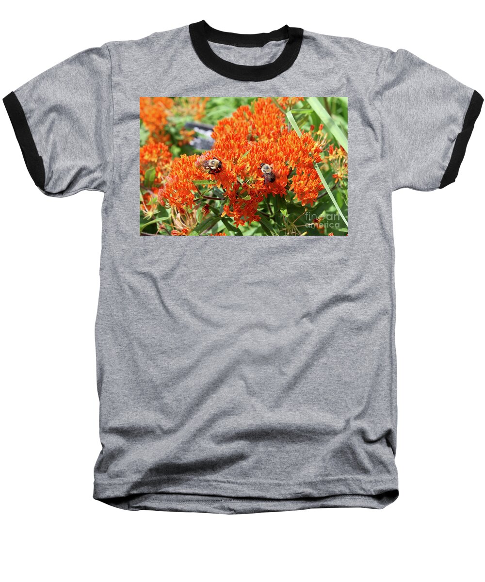 Flower Baseball T-Shirt featuring the photograph Bees by Flavia Westerwelle