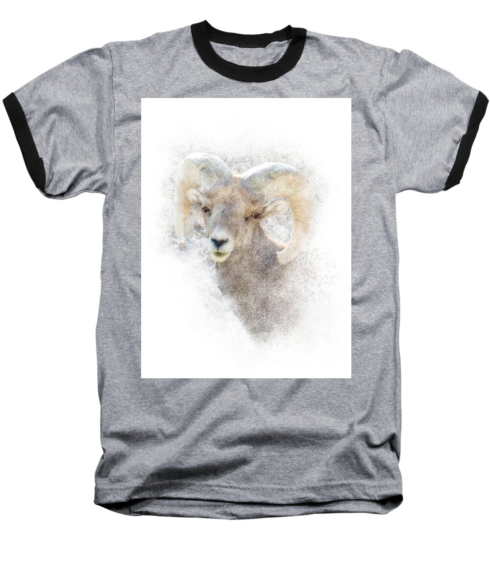 Sheep Baseball T-Shirt featuring the photograph Bighorn Sheep - Ram Portrait by Patti Deters
