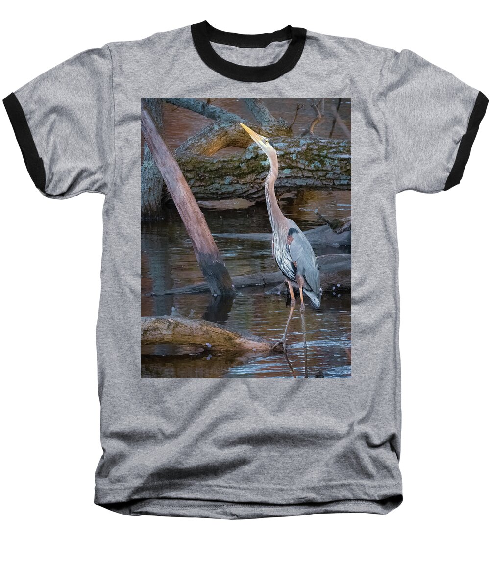 April Baseball T-Shirt featuring the photograph Blue Eagle Eyed by Sylvia J Zarco