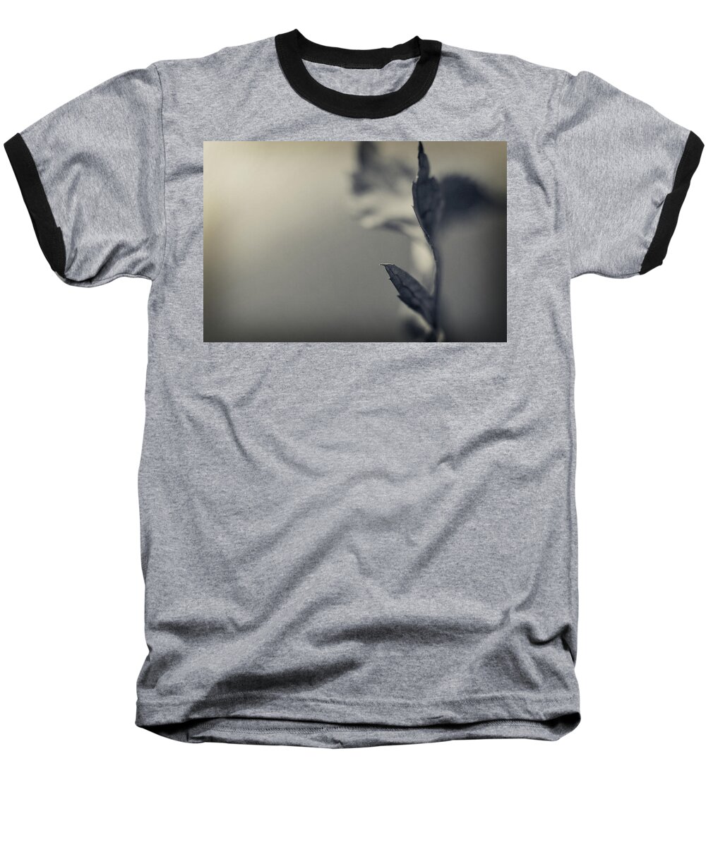 Leaf Baseball T-Shirt featuring the photograph Blurred Lines by Michelle Wermuth