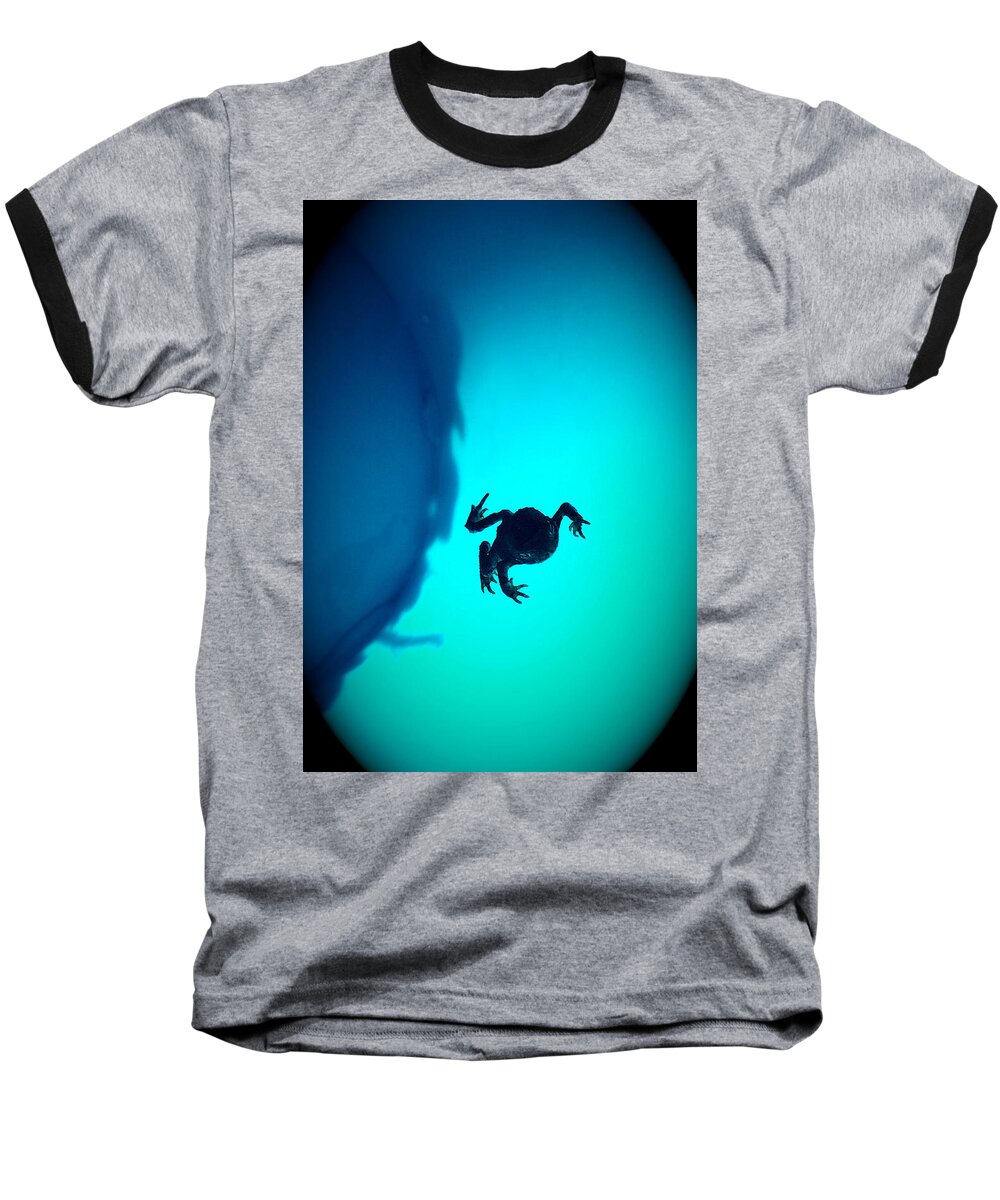 Frog Baseball T-Shirt featuring the digital art Born by Danielle R T Haney