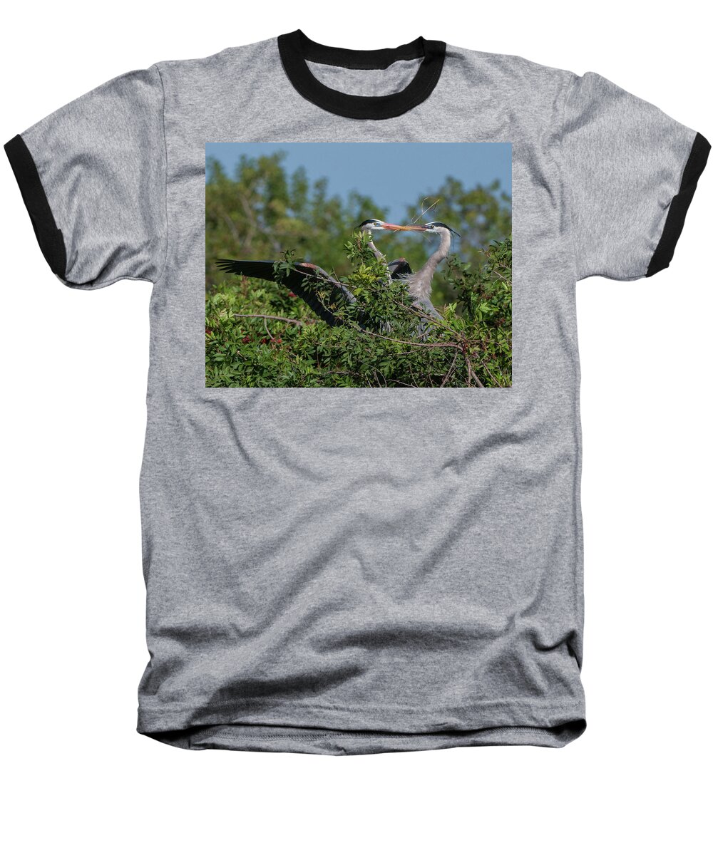 Birds Baseball T-Shirt featuring the photograph Breeding Herons by Donald Brown