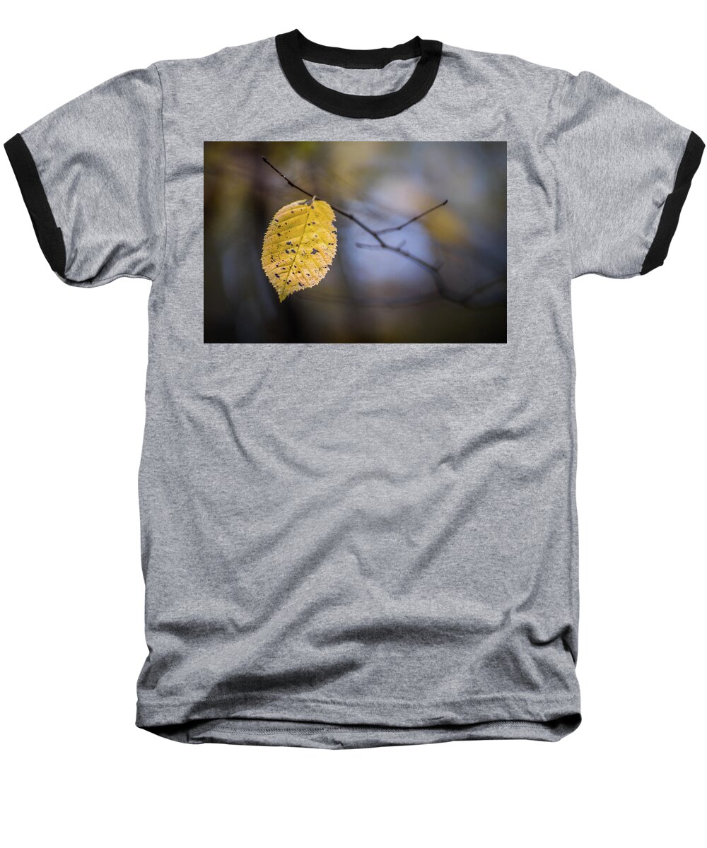 Archbold Baseball T-Shirt featuring the photograph Bright Fall Leaf 1 by Michael Arend