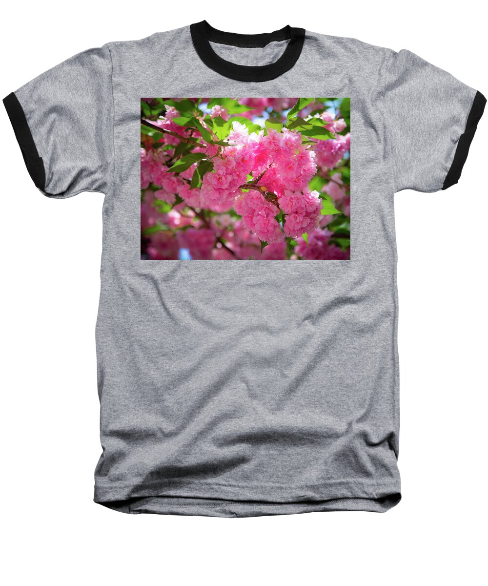 Flowers Baseball T-Shirt featuring the photograph Bright Pink Blossoms by Lora J Wilson