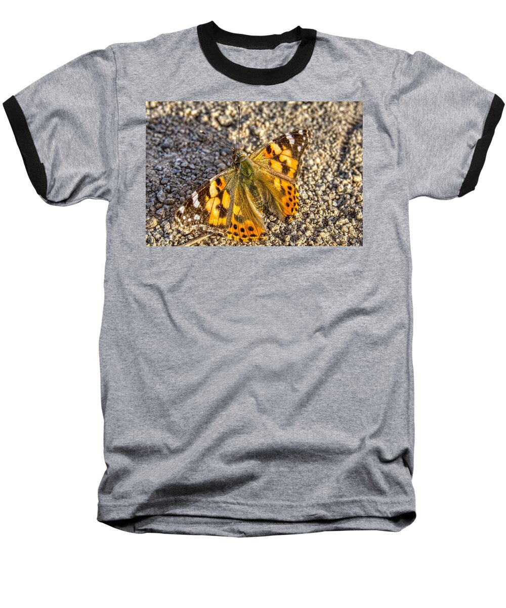 Sunsets Baseball T-Shirt featuring the photograph Butterfly Beauty by Anthony Giammarino