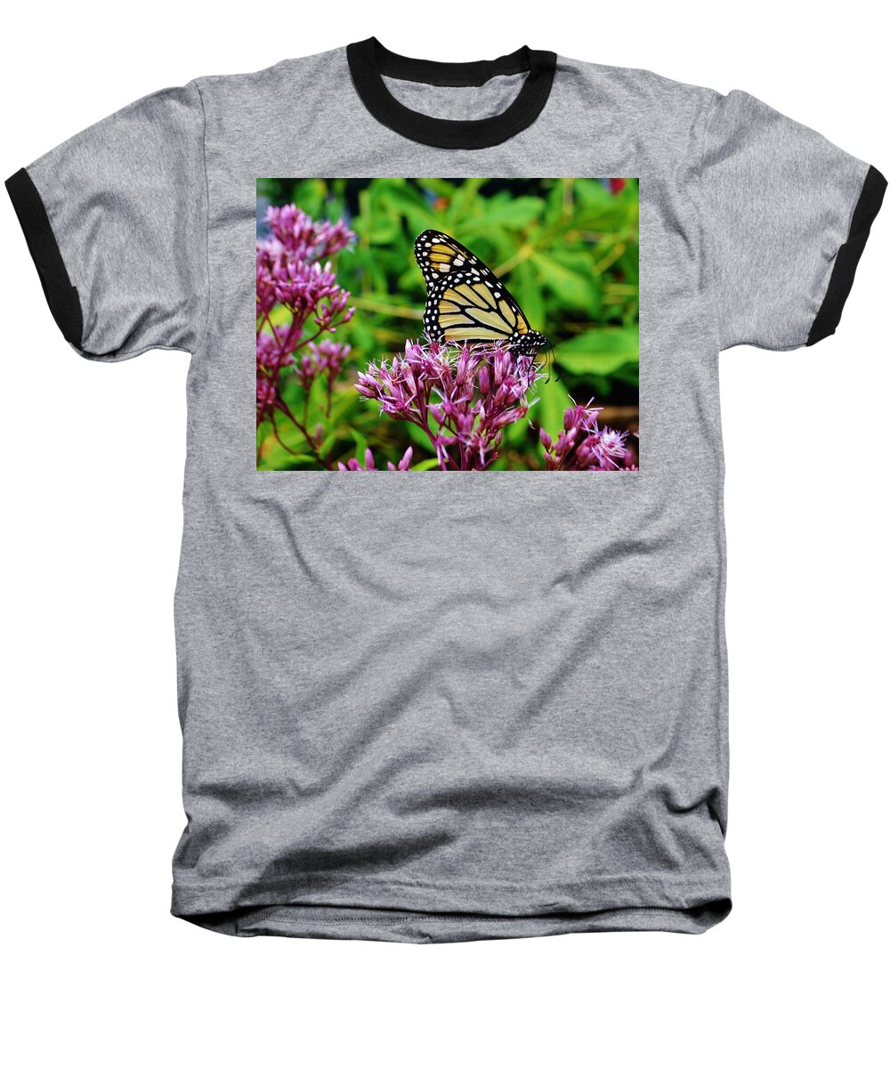 Butterfly Baseball T-Shirt featuring the photograph Butterfly Beauty by Eileen Brymer