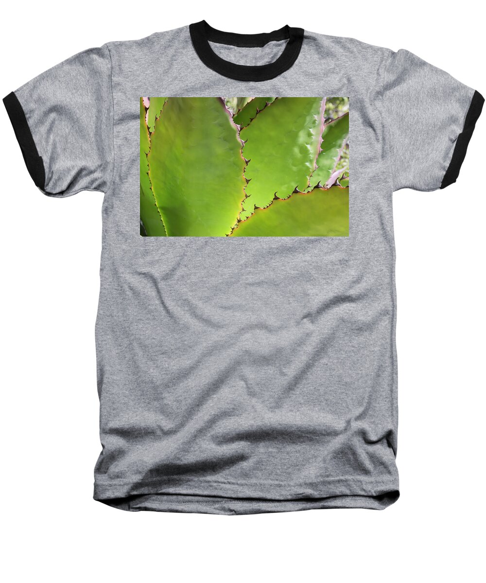 © 2015 Lou Novick All Rights Reserved Baseball T-Shirt featuring the photograph Cactus 2 by Lou Novick