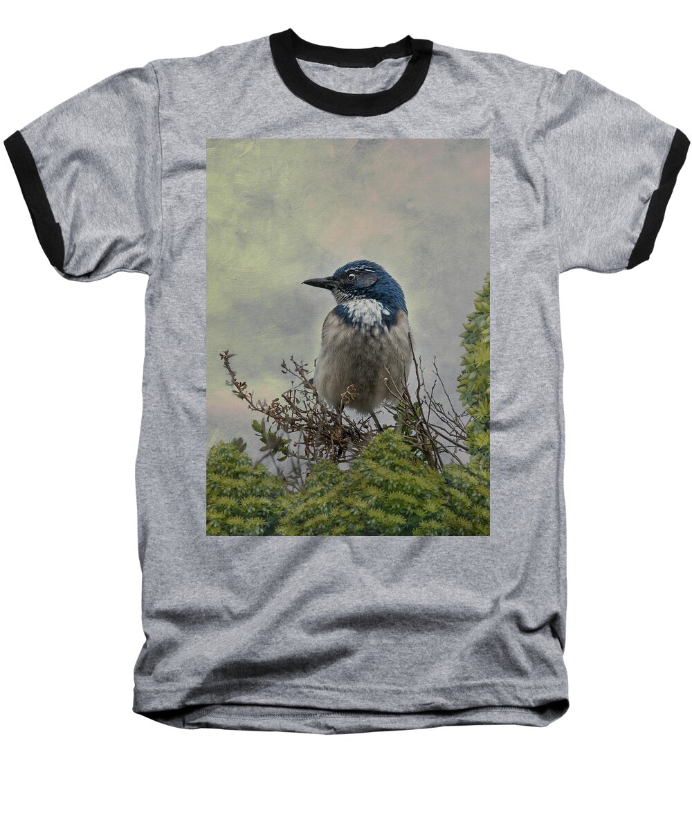 Bird Baseball T-Shirt featuring the photograph California Scrub Jay - Vertical by Patti Deters