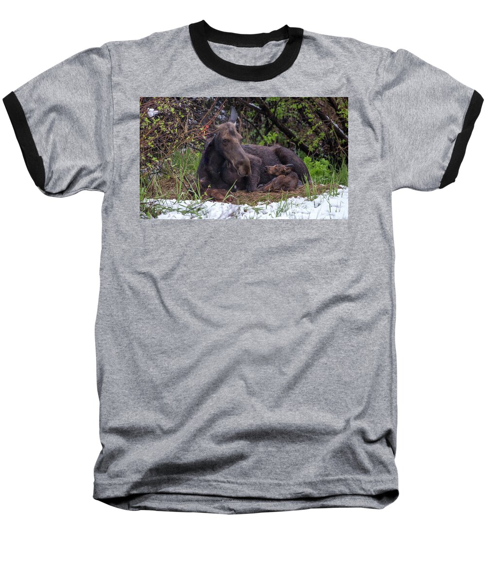 2019 Baseball T-Shirt featuring the photograph Casey's Gift by Kevin Dietrich