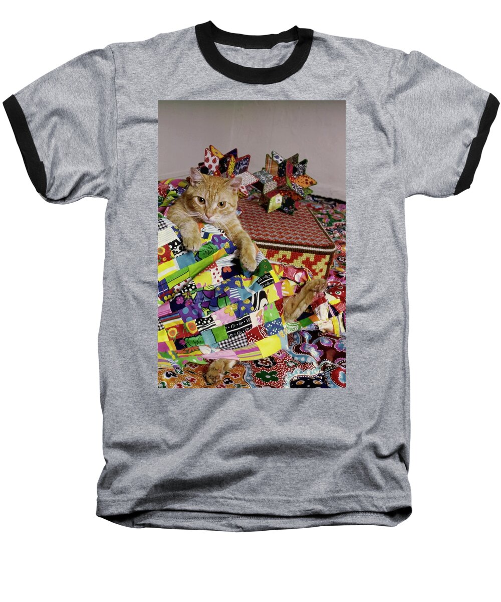 #new2022vogue Baseball T-Shirt featuring the photograph Cat With A Quilt by William Grigsby
