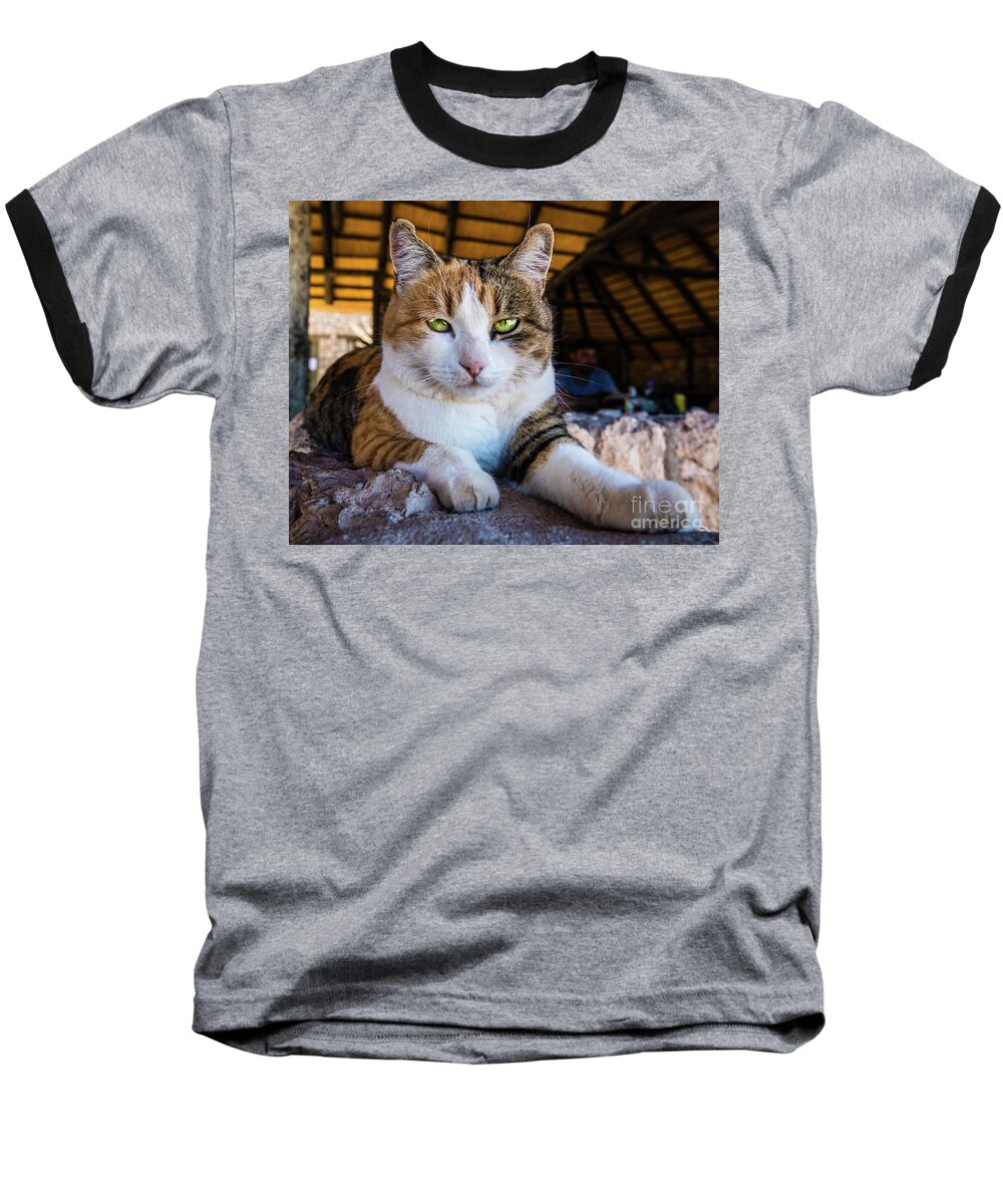 Cat Baseball T-Shirt featuring the photograph Cat with beautiful green eyes by Lyl Dil Creations