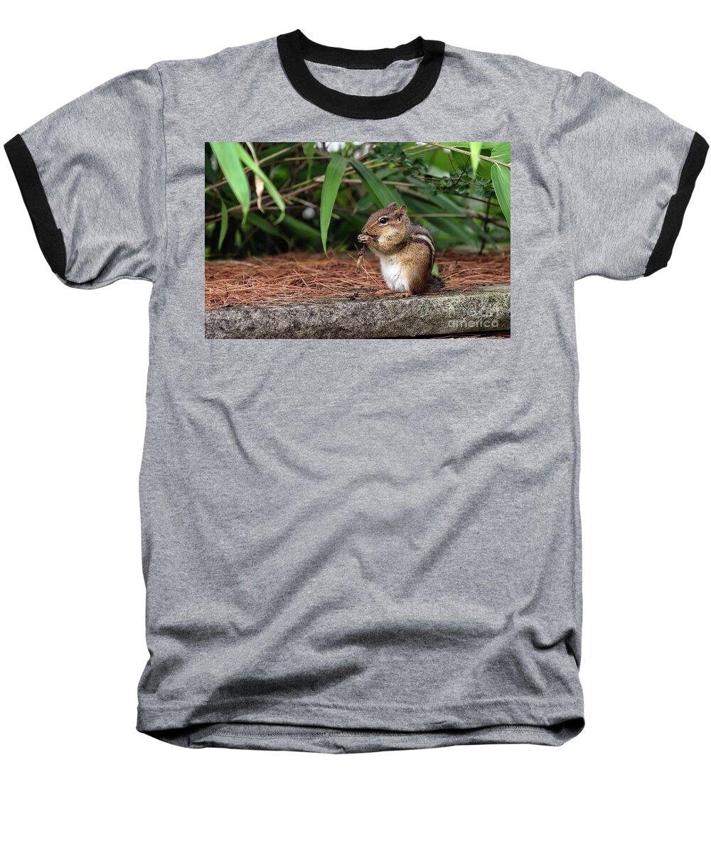 Chipmunk Baseball T-Shirt featuring the photograph Chip the naughty munk by Sam Rino