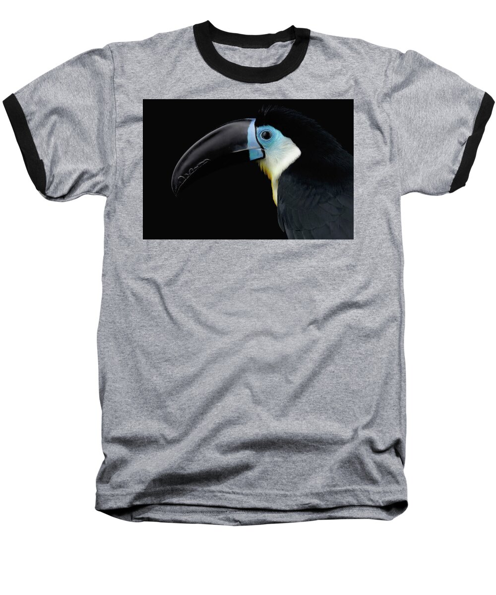 Beak Baseball T-Shirt featuring the photograph Close-up Channel-billed Toucan, Ramphastos vitellinus, Isolated on Black by Sergey Taran