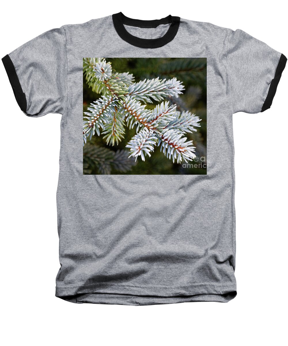 Delicate Frosty Tree Needles Baseball T-Shirt featuring the photograph Closeup frosty frosted green winter conifer needles branches spruce tree dark green background by Robert C Paulson Jr