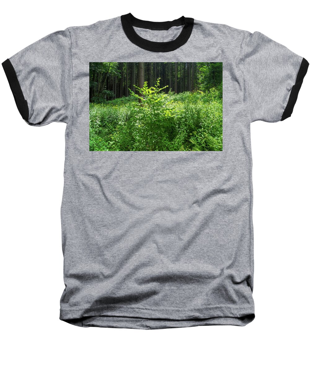 Forest Baseball T-Shirt featuring the photograph Colors of a forest in Vogelsberg by Sun Travels