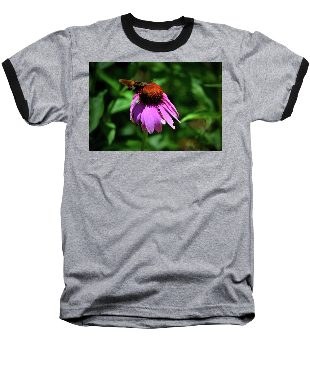Coneflower Baseball T-Shirt featuring the photograph Coneflower and Visitor by Tara Potts