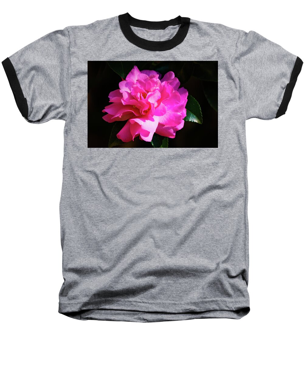 Confederate Rose Baseball T-Shirt featuring the photograph Confederate Rose on Black by Mary Ann Artz