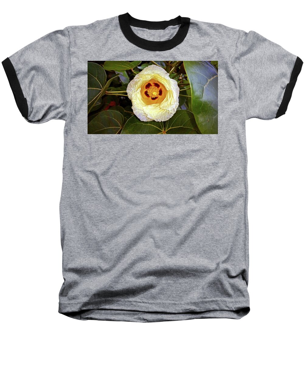 Gossypium Hirsutum Baseball T-Shirt featuring the photograph Cottoning by Climate Change VI - Sales