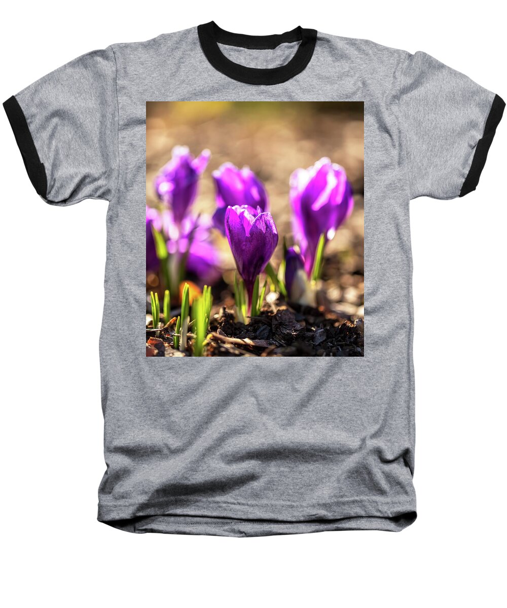Flowers Baseball T-Shirt featuring the photograph Crocus in harmony by Rose-Marie karlsen