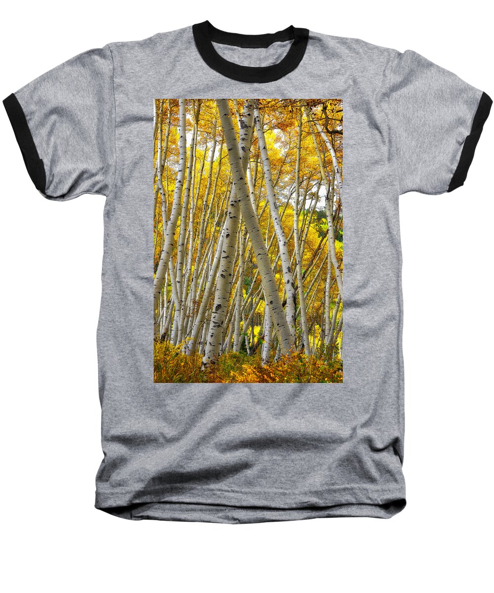 Colorado Baseball T-Shirt featuring the photograph Crossed Aspens by Tom Gresham