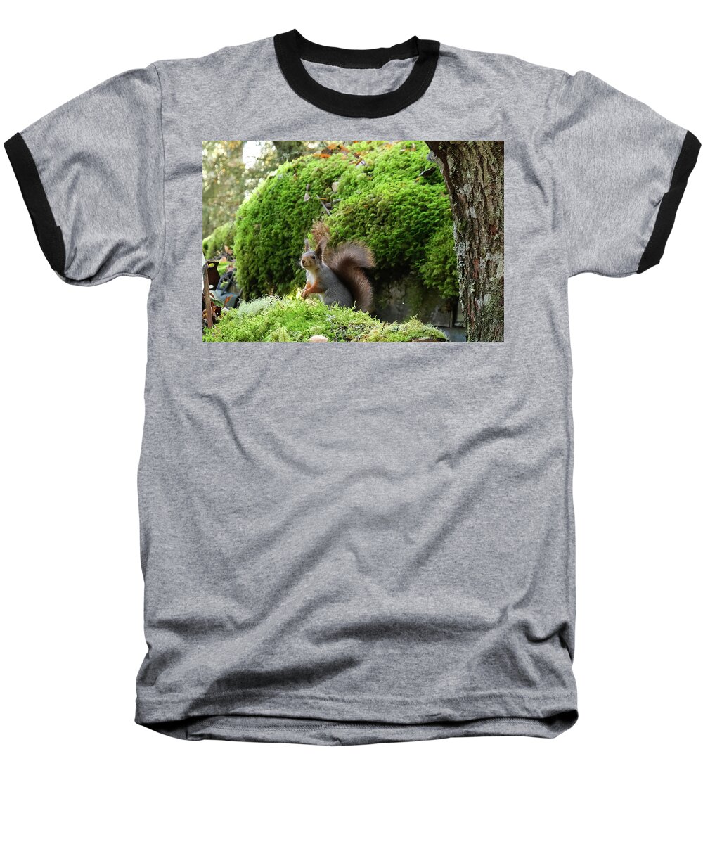 Sweden Baseball T-Shirt featuring the pyrography Curious squirrel by Magnus Haellquist