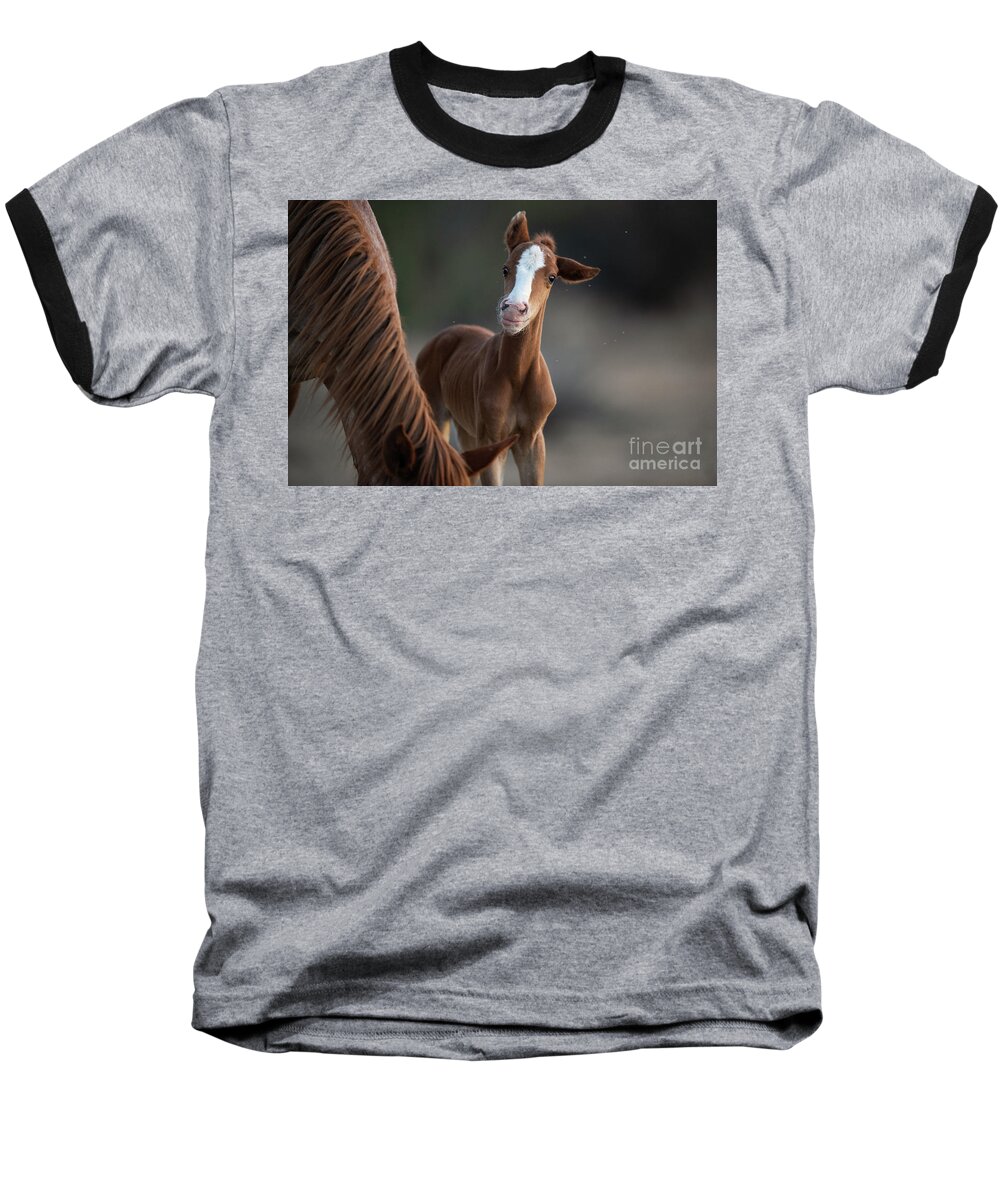 Cute Baseball T-Shirt featuring the photograph Cutie by Shannon Hastings